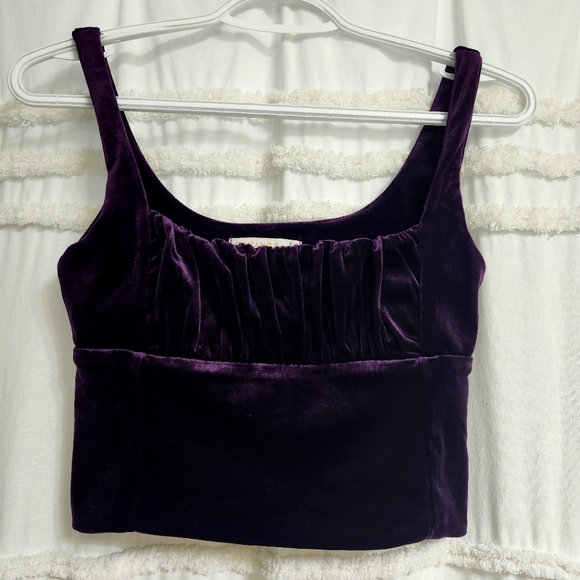 O'Vianca Tops - Bnwot Gorgeous Velvet Crop Top. Firm On Price.